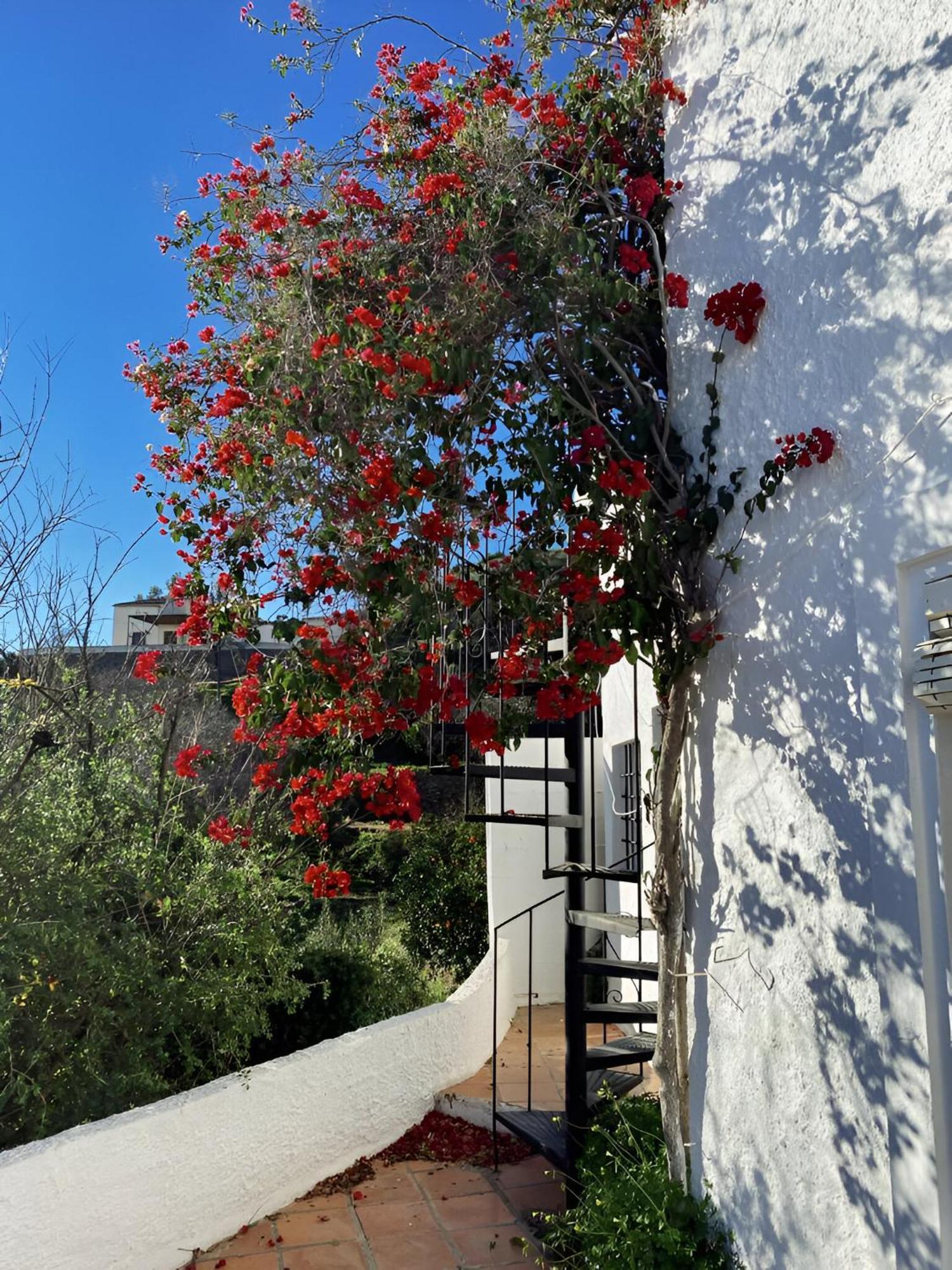 Cortijo De La Fuente Con Vistas Impresionantes Y Playas A 20 Minutos Villa Bédar Exterior photo